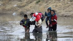 Patrulla Fronteriza rescata a una familia guatemalteca de ahogarse en el Río Grande