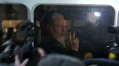 Ecuador suspende nacionalidad a Assange por presuntos lazos de desestabilización con Rusia y Venezuela