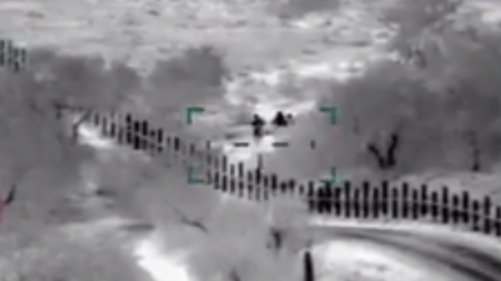 Video muestra a hombres armados escoltando a una madre y su hijo a través de la frontera de EE. UU.