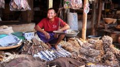 Vendedores de bolas de pescado «soportan todo» para enviar a sus 4 hijas a la universidad