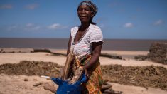 Abuela camina kilómetros para ayudar a víctimas del ciclón y millonario conmovido le regala una casa