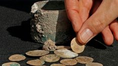 Aficionados hallan 557 monedas de oro y plata, ¡un verdadero tesoro de la época de la peste negra!