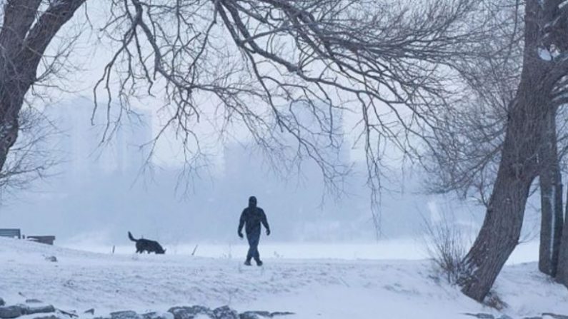 Un hombre pasea a un perro en un parque cubierto de nieve en Kingston, Ontario, el 30 de enero de 2019. (Foto de LARS HAGBERG / AFP / Getty Images)