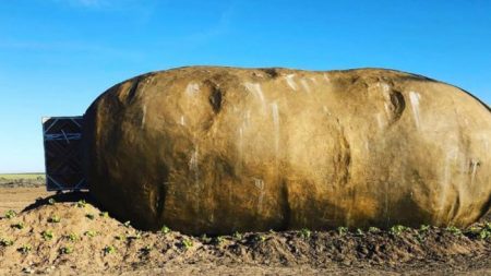 Convierten patata gigante en una casa y la alquilan por Airbnb a 200 dólares la noche