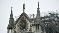 Multimillonarios franceses prometieron más de 300 millones de dólares para reconstruir Notre Dame