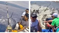 Los sustos de estos pescadores quedaron registrados en cámara y sus reacciones son imperdibles