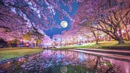 «Luna Rosa»: la particular luna llena de abril que iluminara el cielo en Semana Santa
