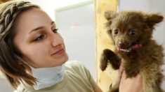 La súplica sincera de una mujer moribunda para que alguien adopte su perrita, llega a manos correctas