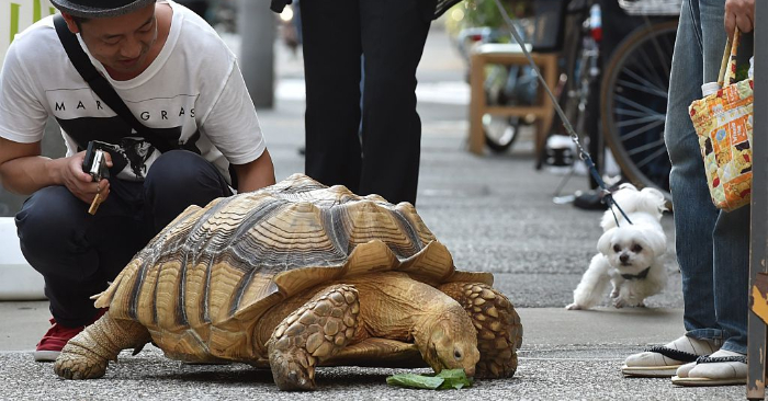 Foto ilustrativa de KAZUHIRO NOGI/AFP/Getty Images.