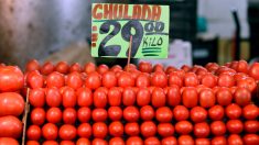 México y EE.UU. alcanzan un acuerdo sobre el comercio del tomate mexicano