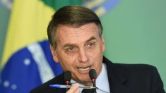 Bolsonaro flexibiliza el porte de armas y los homicidios caen 24 %