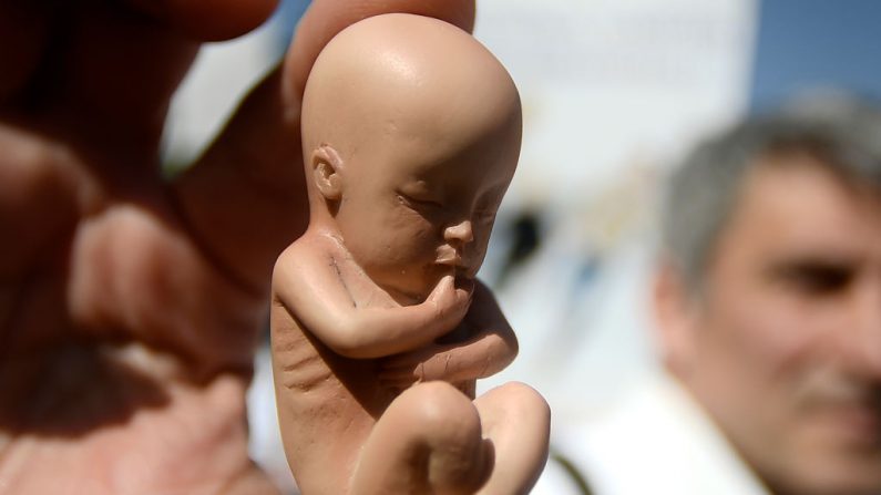 Un activista pro-vida, antiaborto y pro-familia muestra un feto de goma durante una "Marcha por la Familia" dentro de la conferencia del Congreso Mundial de Familias (WCF) el 31 de marzo de 2019 en Verona. (Foto de Filippo MONTEFORTE / AFP) (El crédito de la foto debe ser FILIPPO MONTEFORTE/AFP/Getty Images)