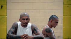 Estados Unidos confirmó fondos para combatir pandillas en países de Centroamérica