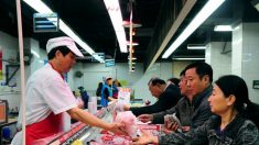 Traficantes en China venden carne de cerdo infectada en medio de epidemia de peste porcina africana