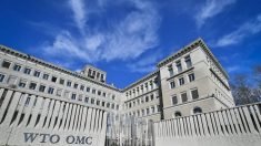 Suspenden a Rusia del grupo de coordinación de la OMC