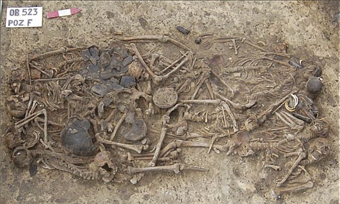 Fotografía de los 15 esqueletos y objetos funerarios enterrados en el yacimiento de Koszyce. (Actas de la Academia Nacional de Ciencias de Estados Unidos de América)