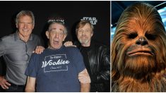 Harrison Ford rinde sentido homenaje a Chewbacca de Star Wars: «Lo amaba»