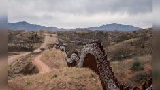 Juez bloquea construcción de secciones del muro fronterizo México-Estados Unidos