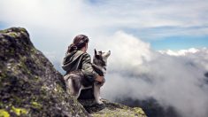 Mujer encuentra a un perrito herido de bala en la montaña y hace algo increible para salvarlo