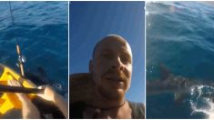 Pescador siente que algo golpea su pequeño kayak, al voltearse ¡tiburones martillo lo atacan!