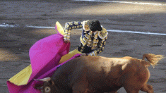 Video muestra a matador español limpiando las lágrimas de un toro antes de matarlo