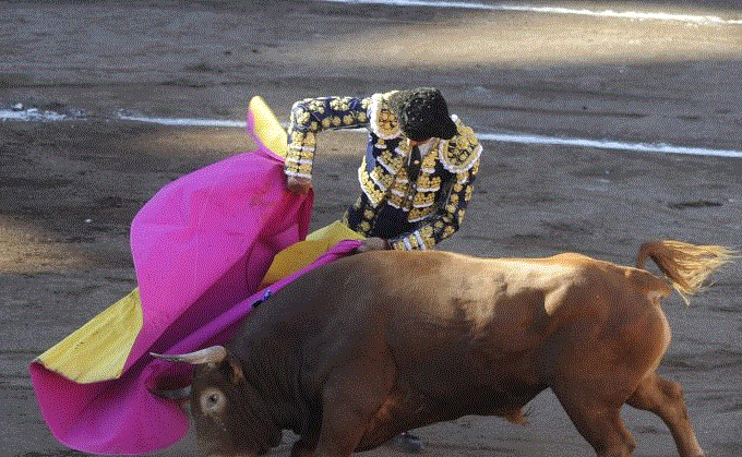 El matador español Manuel Jesús "El Cid" realizando un pase a un semental Jandilla durante una corrida en la plaza de toros de Vista Alegre en una imagen de archivo del 25 de agosto de 2015. (Ander Gillenea / AFP / Getty Images)