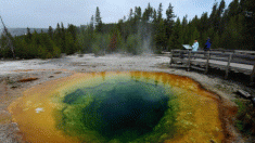 Ruidoso géiser de Yellowstone entra en erupción por primera vez en años de silencio