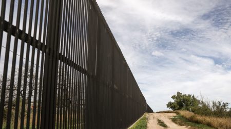 Juez de EE.UU. rechaza pedido de los Demócratas para detener la construcción del muro de Trump