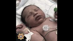 Encuentran bebé recién nacida llorando dentro de una bolsa, fue “intervención divina” dice la policía