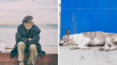 Anciano lleva a su perrito enfermo a un hospital de humanos y los médicos hacen algo increíble