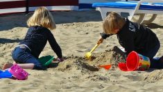 Niña tropieza en la playa con un diente de tiburón megalodón de 1 millón de años