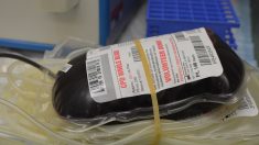 Científicos descubren la forma de convertir la sangre de donantes en un ‘tipo de sangre universal’
