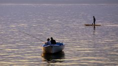 Estaban pescando cuando su papá cayó al agua, logró salvarlo pero él quedó atrás