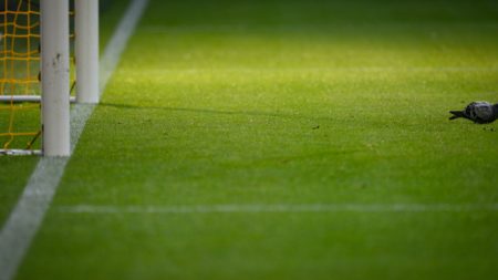 Una paloma se entromete en el partido de Copa América y se salva de milagro (video)