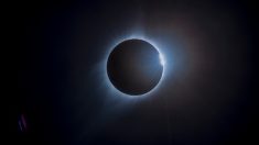 Cómo ver el eclipse total de Sol 2019 en vivo por internet en Sudamérica