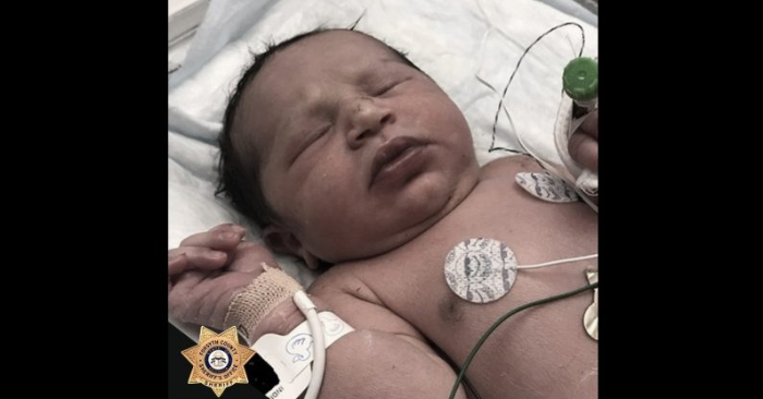 Una niña recién nacida fue encontrada viva en una bolsa de plástico en un área boscosa en Cumming, Georgia, el 6 de junio de 2019. (Oficina del Alguacil del Condado de Forsyth | Facebook)