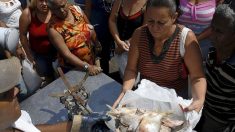 El colmo del comunismo cubano: vivir en una isla con escasez de pescados