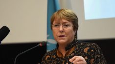 Piden a Bachelet que exija la libertad plena de 715 presos políticos en su visita a Venezuela