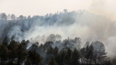 Incendio en España: Estiércol pudo haber desatado el incendio forestal de 4000 hectáreas