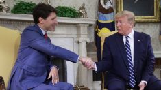 Trudeau se reúne con Trump para impulsar el TMEC tras la ratificación del Senado mexicano