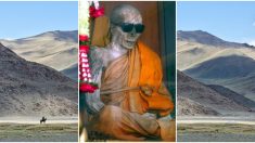 Un monje momificado de 200 años tiene la cabeza llena de cabello: ¿Sigue vivo?