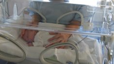 “Amo a mis bebés”: Madre afligida comparte fotos de sus gemelos prematuros al enfrentar la pérdida
