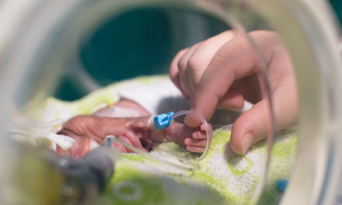 Foto ilustrativa de un bebé en incubadora. (Illustration - Shutterstock)