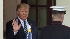 Trump revela por qué suspendió el ataque militar contra Irán: «No tengo prisa»
