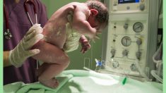Video viral: Bebé «camina» justo después de nacer y deja en shock a la partera