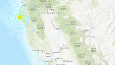 Terremoto en California de 5,6 grados sacude la costa al norte de San Francisco