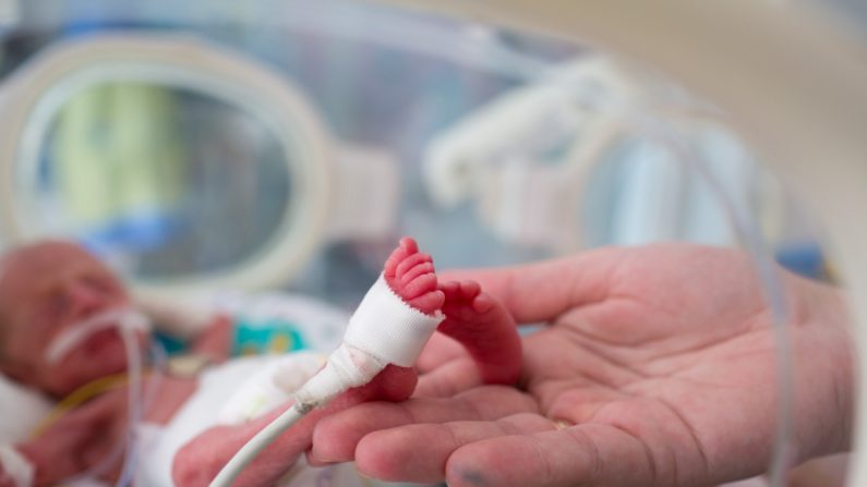 Imagen de archivo de un bebé prematuro. (Crédito: Kristina Bessolova/Shutterstock)