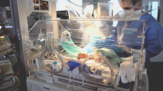 Padre de bebé milagroso prematuro “no cambiaría su experiencia por nada del mundo”