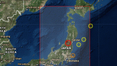 Terremoto en Japón de 6,5 grados azota la costa norte. Emiten alerta de tsunami