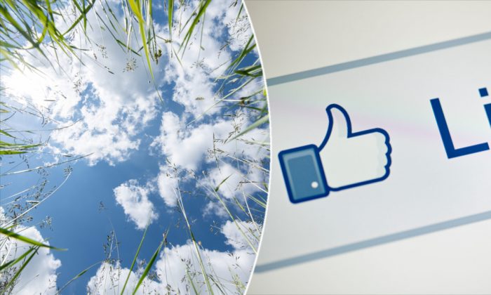 (Izquierda) Nubes sobre un prado. (Silas Stein/AFP/Getty Images) | Símbolo de me "me gusta" de Facebook. (Brendan Smialowski/AFP/Getty Images)